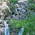 a small waterfall in the middle of a forest