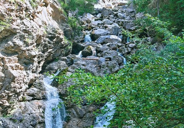a small waterfall in the middle of a forest
